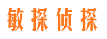 巢湖侦探公司